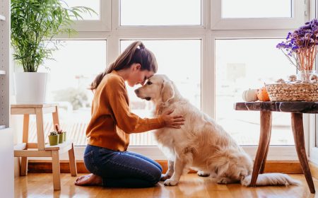 beautiful woman hugging adorable golden retriever dog at home. love for animals concept. lifestyle